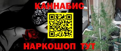 сатива Краснокаменск