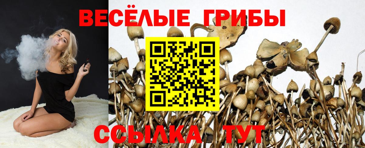 Псилоцибиновые грибы Magic Shrooms  цена   Черняховск  Вход с VPN 